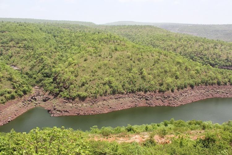 Dense greenery of Nallamala forest, a scenic forest region in Andhra Pradesh