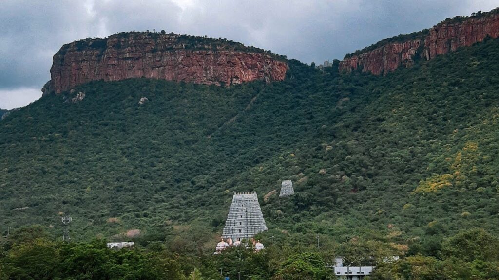 Scenic hill road view of Tirumala, a peaceful hill destination in Andhra Pradesh
